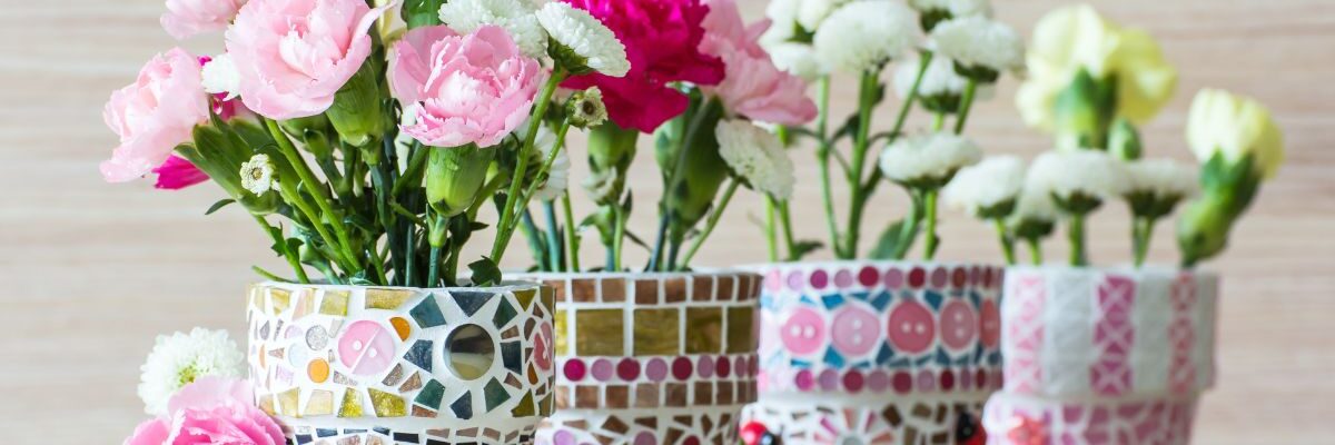 goździki w doniczce