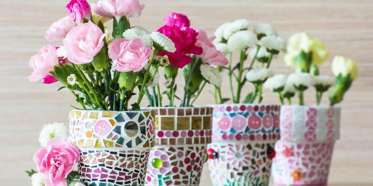 goździki w doniczce