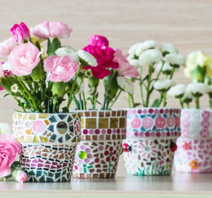 goździki w doniczce