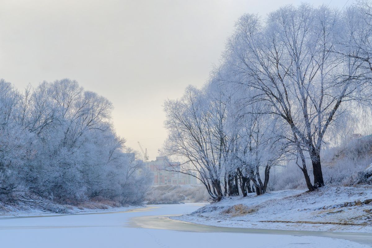 grudzień w ogrodzie