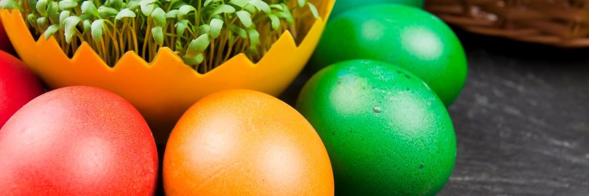 kiedy wysiać rzeżuchę na Wielkanoc