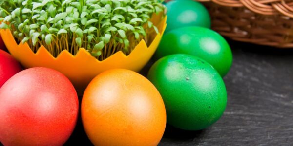 kiedy wysiać rzeżuchę na Wielkanoc