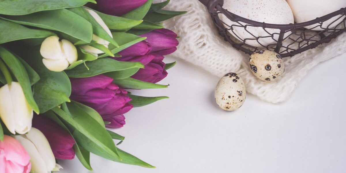 kwiaty na wielkanoc