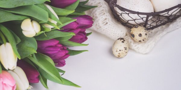 kwiaty na wielkanoc